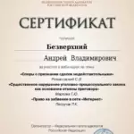 Сертификат 4 - Безверхний Андрей Владимирович