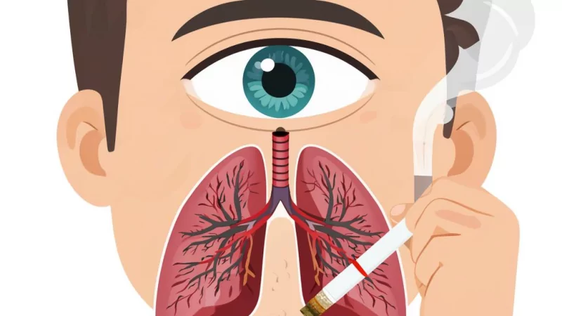 Адвокат Демина Наталья Валентиновна объясняет: Как доказать факт курения соседа?