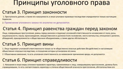 Какие основные принципы уголовного права?