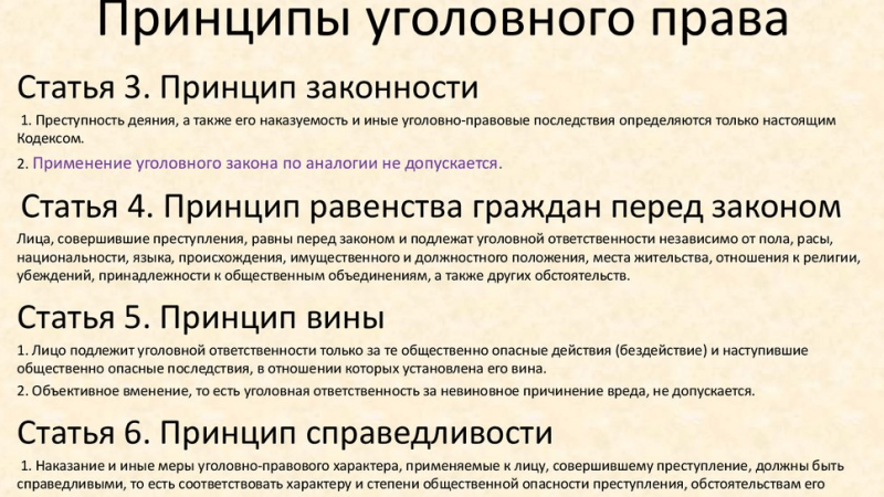 Адвокат Лукьянов Алексей Петрович объясняет: Какие основные принципы уголовного права?