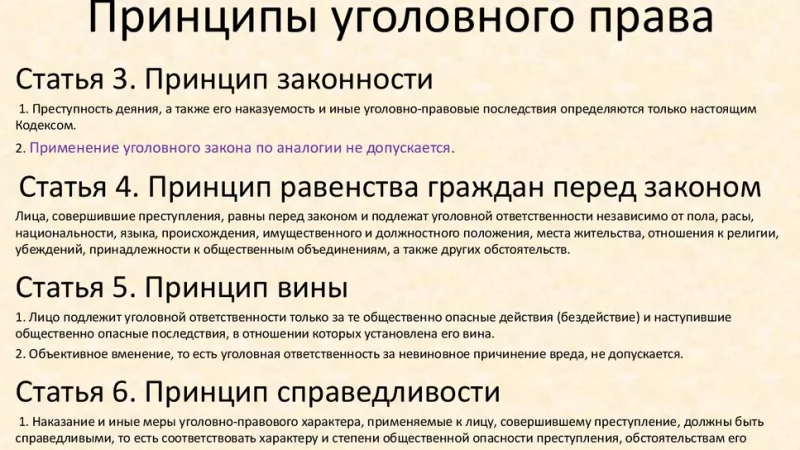 Адвокат Лукьянов Алексей Петрович объясняет: Какие основные принципы уголовного права?