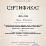Сертификат 6 - Шепелева Мария Николаевна