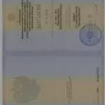 Диплом - Броновицкий Анатолий Олегович