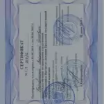 Сертификат - Броновицкий Анатолий Олегович
