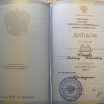 Диплом - Пискунов Михаил Николаевич
