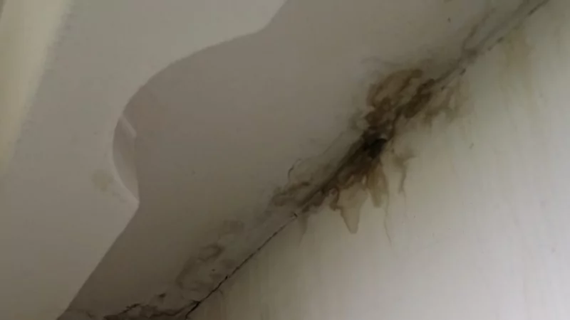 Юрист Мандрова Дарья Дмитриевна объясняет: Коммунальные и жилищные платежи