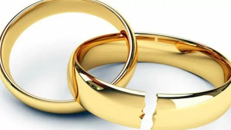 Адвокат Силантьева Светлана Алексеевна объясняет: Как подать заявление о разводе?