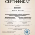 Сертификат 2 - Шаврак Евгения Борисовна