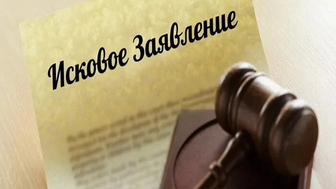 Адвокат Богоявленская Любовь Владимировна объясняет: Как подать иск в суд?