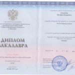Диплом - Шумилова Полина Денисовна