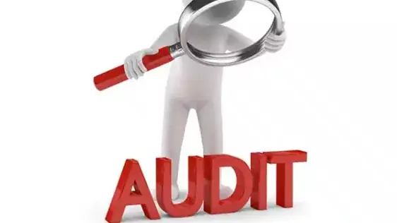 Юрист Батурина Оксана Александровна объясняет: Аудит