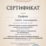certificate (3)_page-0001 - Ерофеев Сергей Александрович