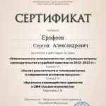 certificate (9)_page-0001 - Ерофеев Сергей Александрович