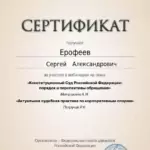certificate (12)_page-0001 - Ерофеев Сергей Александрович