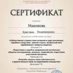 Сертификат - Мамонова Кристина Владимировна