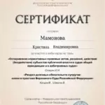 Сертификат 2 - Мамонова Кристина Владимировна