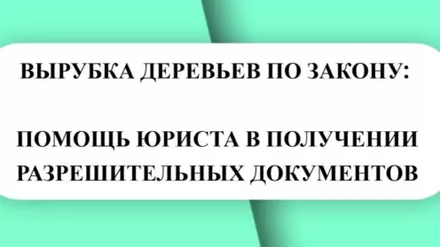 🌿 НЕТИПИЧНОЕ ДЕЛО: КАК Я ПОМОГАЛ ПОЛУЧИТЬ ПОРУБОЧНЫЙ БИЛЕТ 🌿