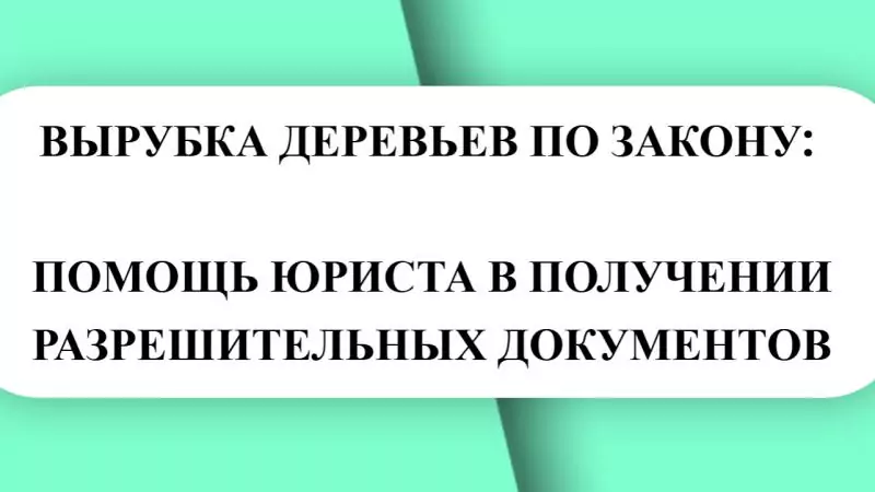Юрист Малюк Андрей Григорьевич объясняет: 🌿 НЕТИПИЧНОЕ ДЕЛО: КАК Я ПОМОГАЛ ПОЛУЧИТЬ ПОРУБОЧНЫЙ БИЛЕТ 🌿