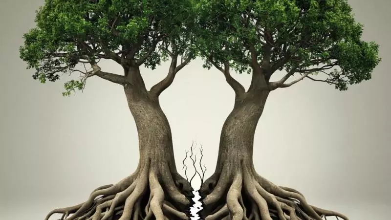 Юрист Кузнецов Александр Владимирович объясняет: Отвечает ли жена по долгам мужа?