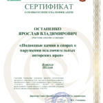 Авторские права - Остапенко Ярослав Владимирович