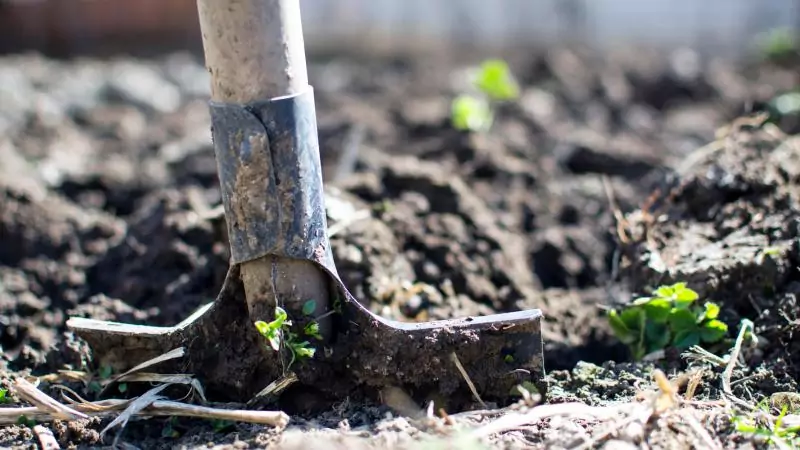 Юрист Исаева Наталья Сергеевна объясняет: Как увеличить площадь земельного участка за счет государственных или муниципальных земель?