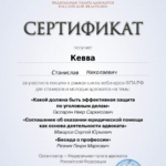 Сертификат 16 - Кевва Станислав Николаевич