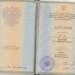 Диплом - Чугуева Ольга Сергеевна