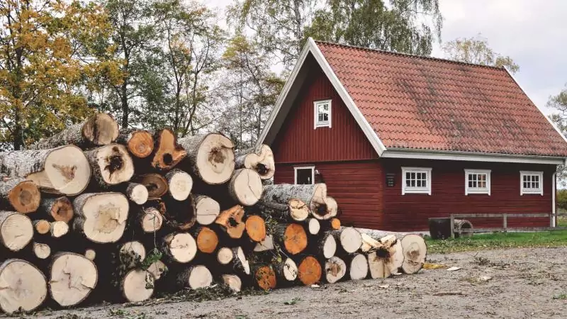 Юрист Исаева Наталья Сергеевна объясняет: Какие хозяйственные постройки нужно регистрировать?