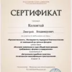 Сертификат - Колонтай Дмитрий Владимирович