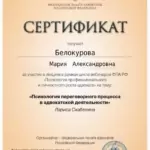 Сертификат 12 - Белокурова Мария Александровна