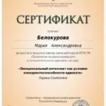 Сертификат 13 - Белокурова Мария Александровна
