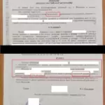 Решение - Мальцев Владимир Сергеевич