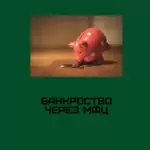 Банкротство через МФЦ - Моисейкина Наталья Викторовна