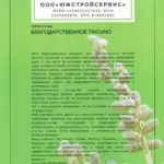 ЮЖС - Исаева Наталья Сергеевна