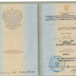 Диплом - Мальцев Владимир Сергеевич