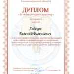 Диплом - Авдеков Евгений Евгеньевич