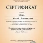 Сертификат 2 - Соков Андрей Владимирович