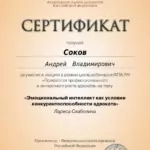 Сертификат 3 - Соков Андрей Владимирович