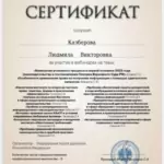 Сертификат 4 - Казберова Людмила Викторовна