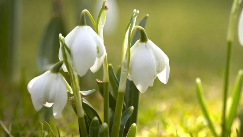 Юрист Алексеева Елена Витальевна объясняет: Как подать заявление о разводе?