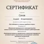 Сертификат 4 - Соков Андрей Владимирович