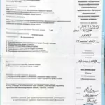 Приложение к диплому - Мишина (Титова) Юлия Сергеевна