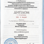 Диплом - Мишина (Титова) Юлия Сергеевна