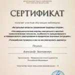 Сертификат 2 - Пешкин Александр Викторович