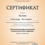 Сертификат 4 - Пучкин Александр Викторович