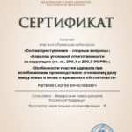 Сертификат 2 - Матвеев Сергей Вячеславович