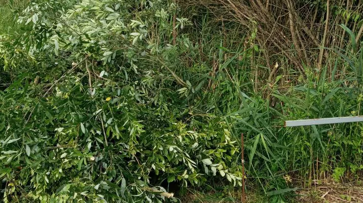 Юрист Мандрова Дарья Дмитриевна объясняет: Как законно забрать чужой участок.