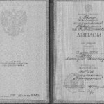 Диплом: Хакасский государственный университет имени Н.Ф. Катанова, 2002 — Рябов Д.А.
