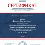 Сертификат 7 - Вагин Дмитрий Константинович