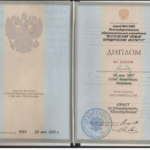 Диплом - Грибова Анастасия Игоревна